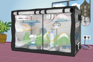 3D Complete How To Create Good Air Circulation In Your Cannabis Grow Tent.webp.webp